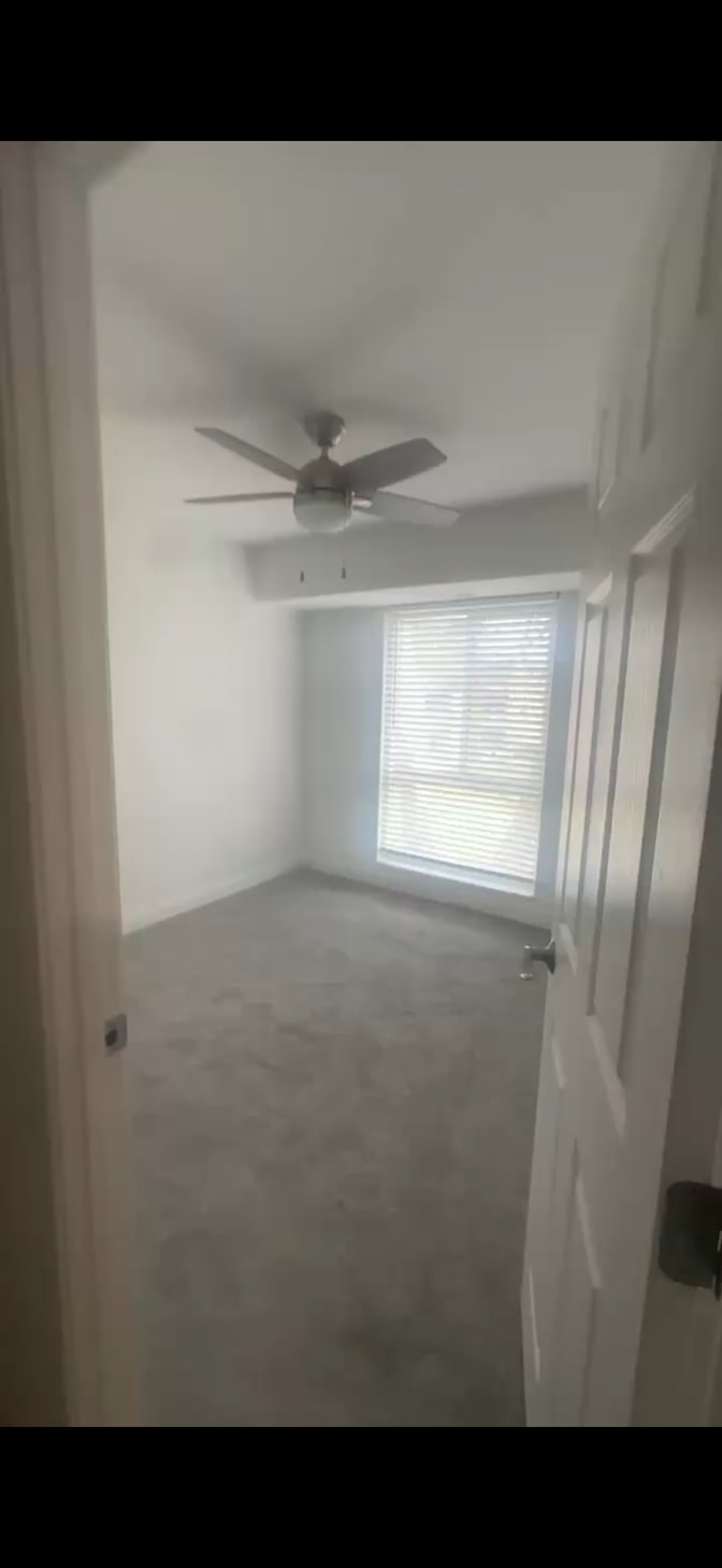Renata's room