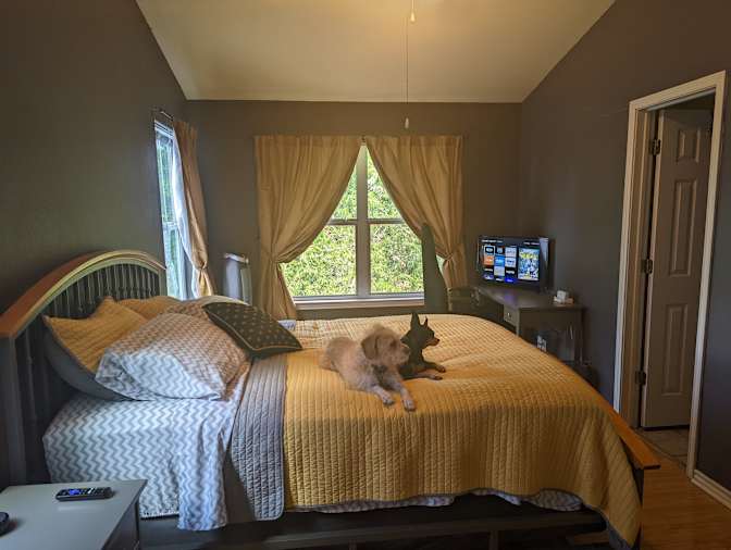 Scott's room