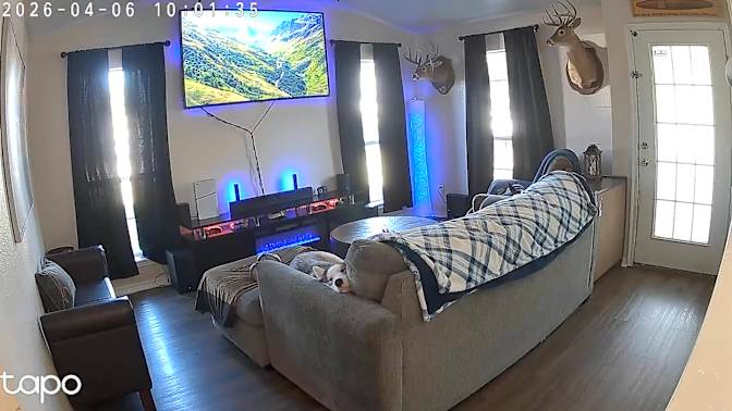 Dillon Hedges's room