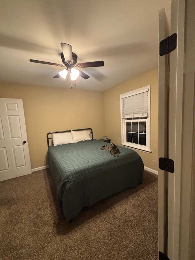 Mitch's room