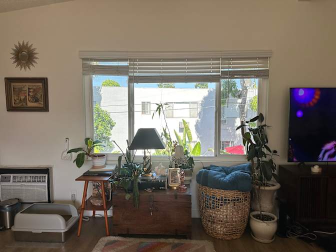 Rachel's room
