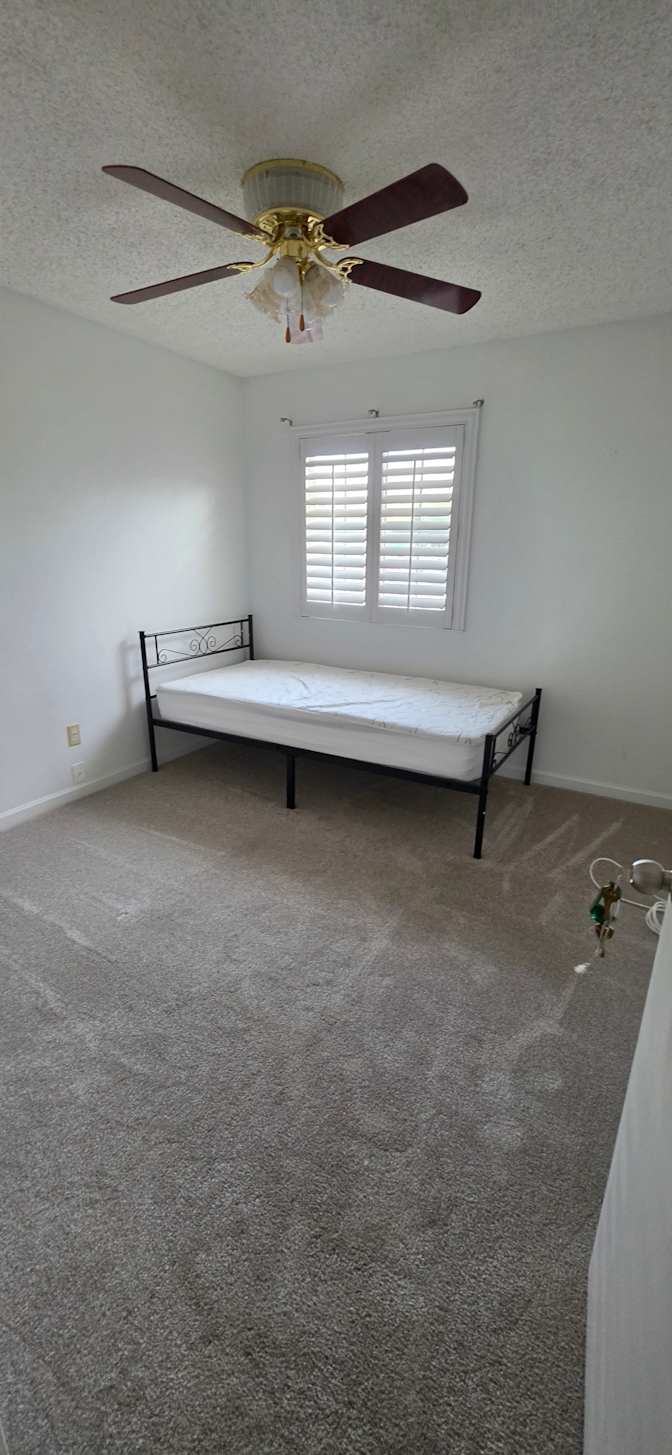 Singh's room