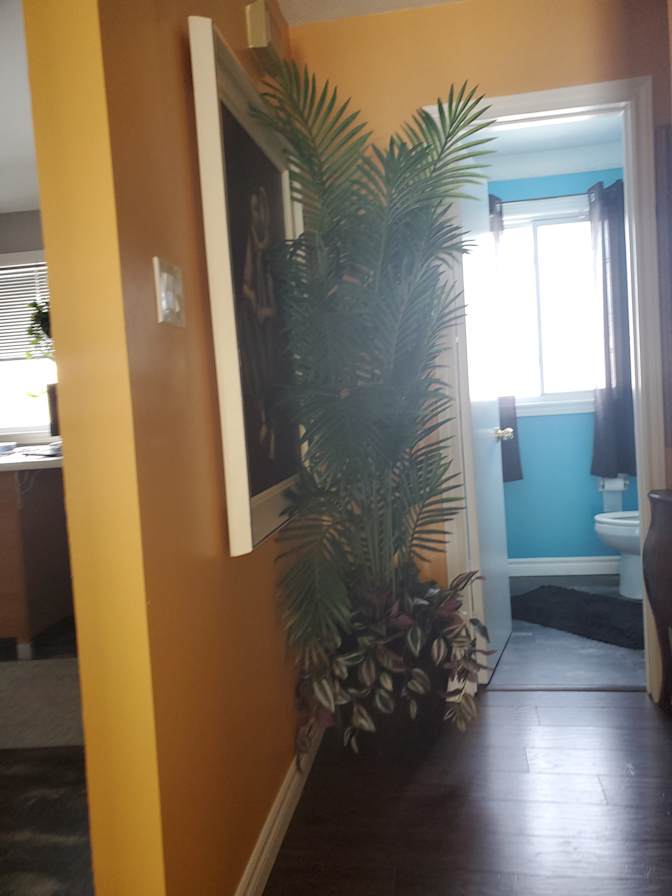 Paul or Xander's room