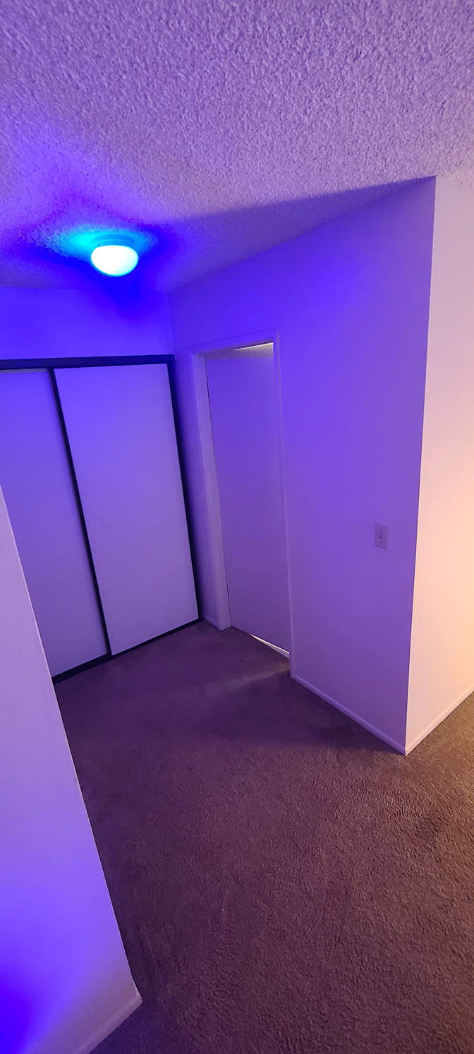 T.'s room