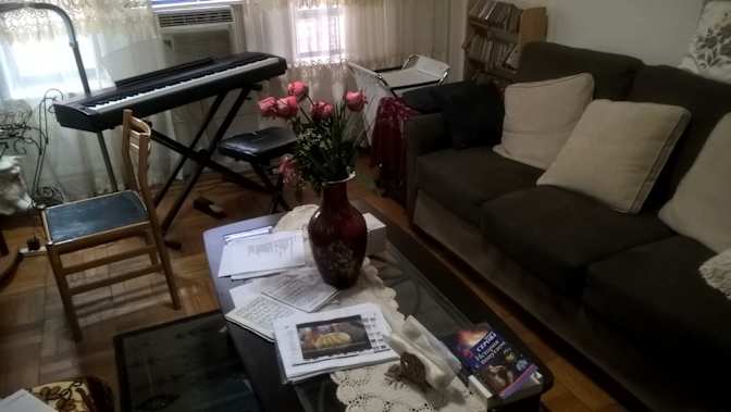 Lev Shneider's room