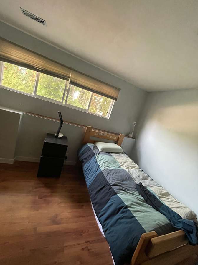 Pari Moradi's room