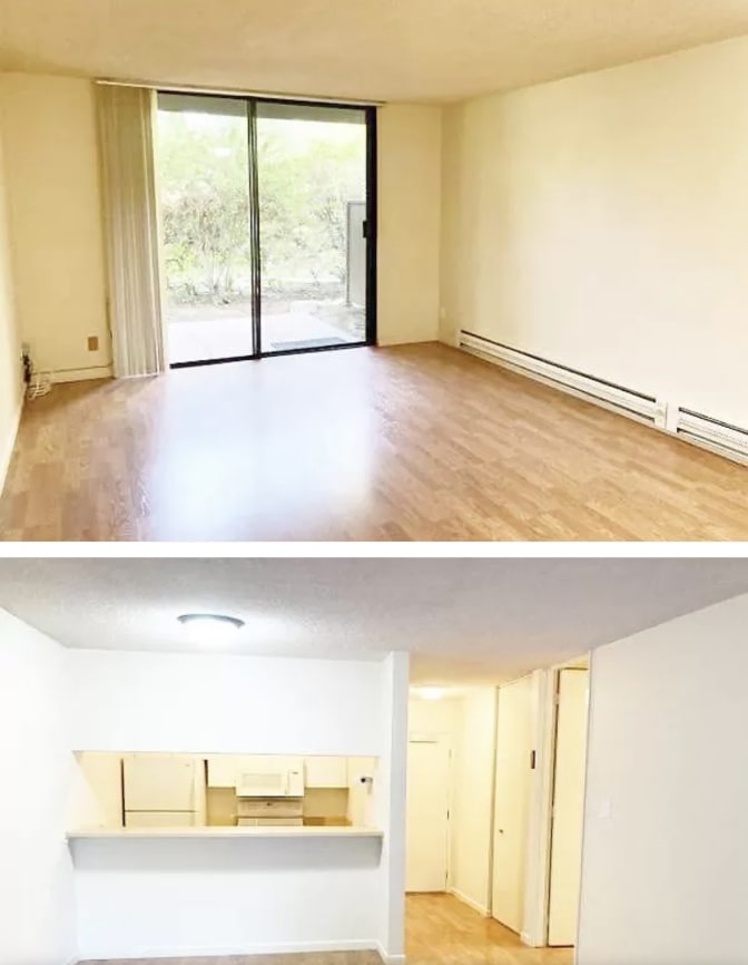 Rachel's room