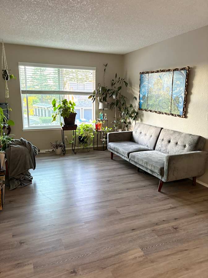 Krysta Cook's room