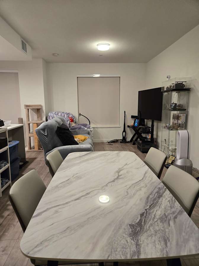 David Wu's room