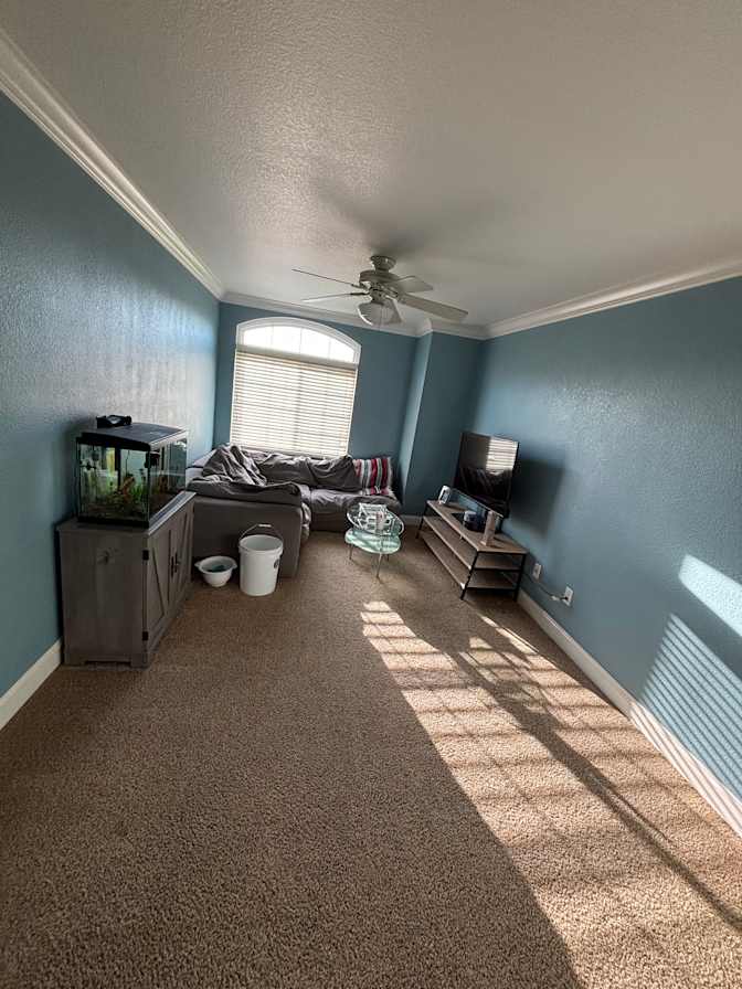 Lilianna's room