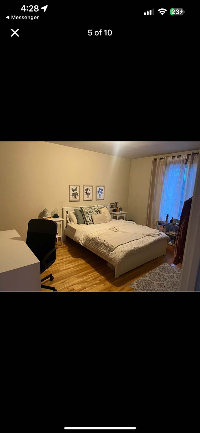 Yasmine El-Diwany's room