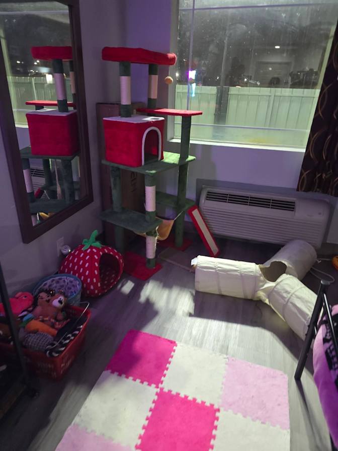 Kayla Latham's room