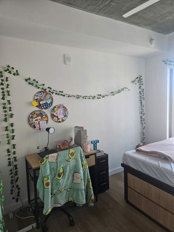 Tejaswi's room