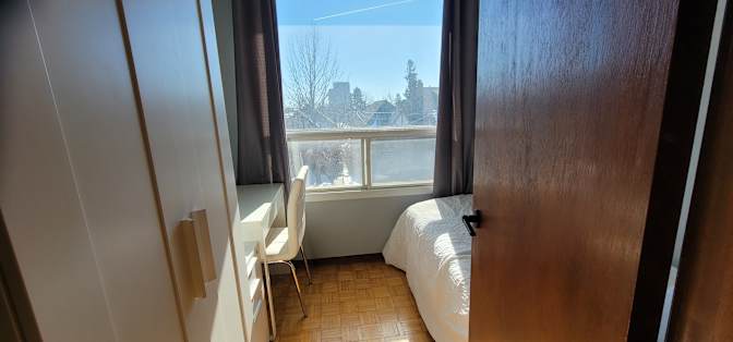 Lily's room