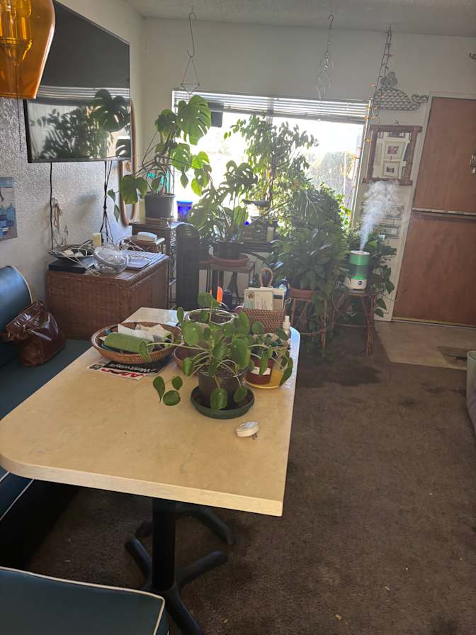 Carol's room