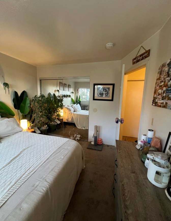 Natasha's room