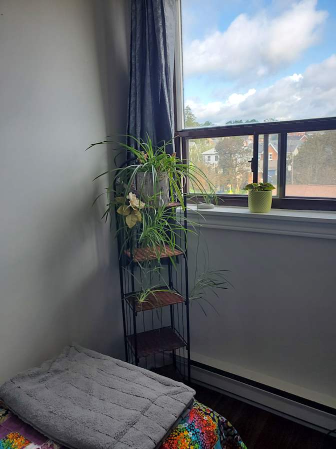 Georgina McHugh's room