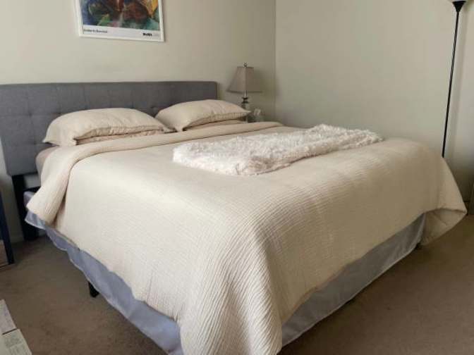 Room for Rent's room