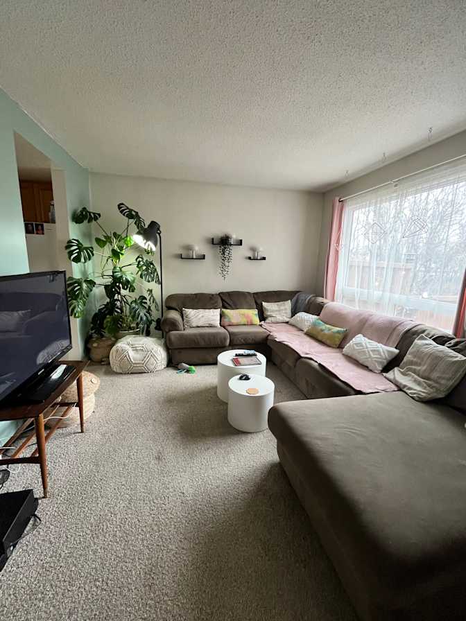 Luisa Williams's room