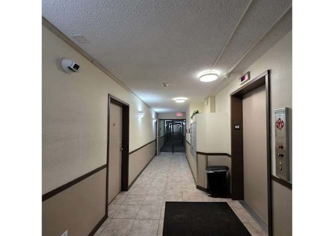 Todd's room