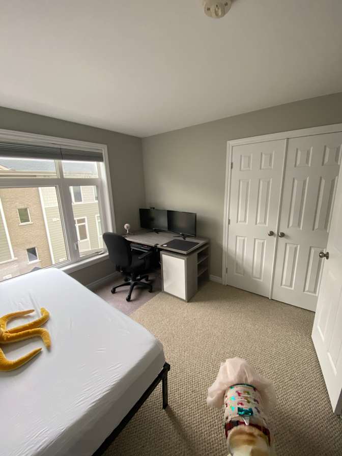 Drew's room