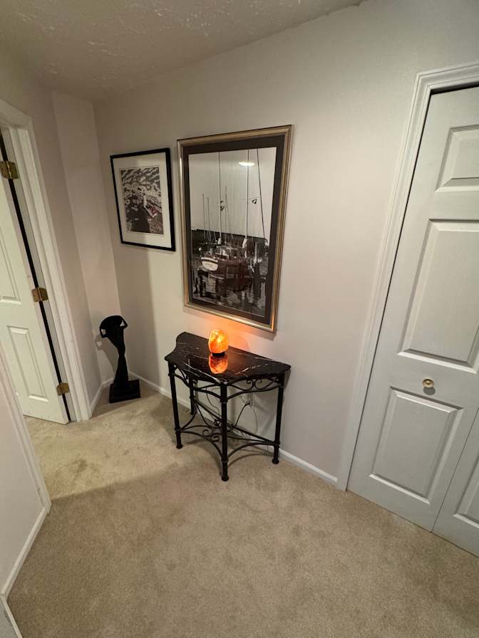 WFH professional's room