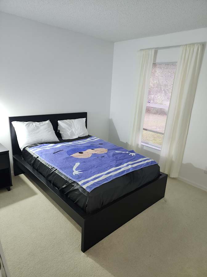 William Hamant's room