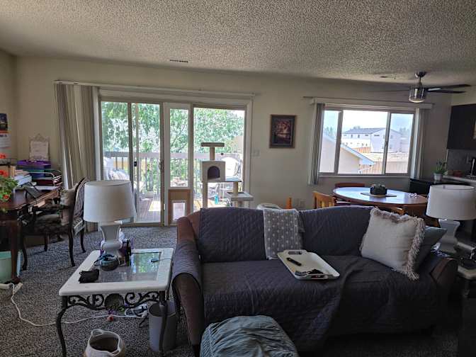 Paula Collins's room
