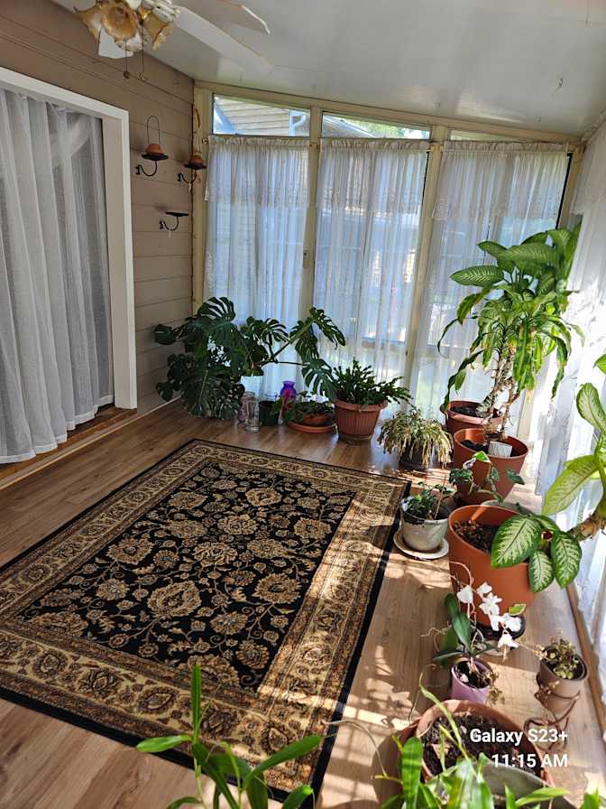 Martha's room