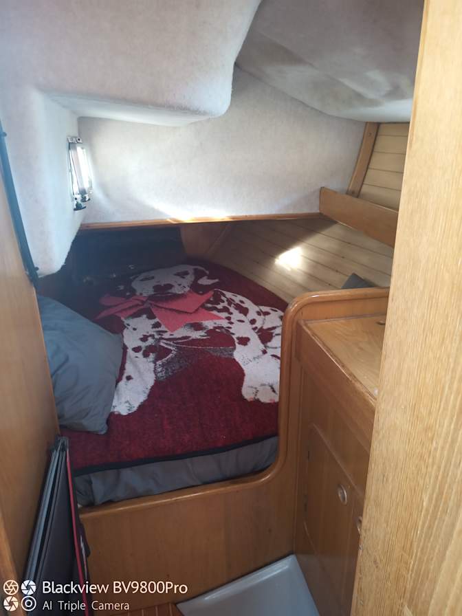 Paul's room