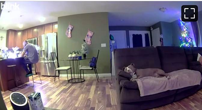 Carley's room