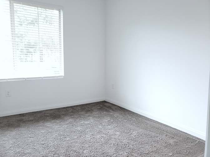Mark's room