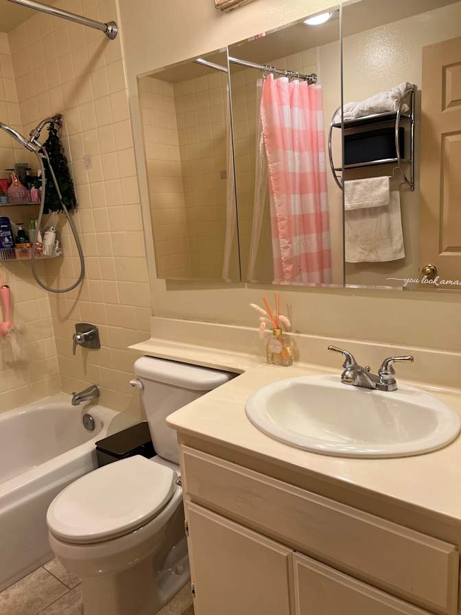 Mary's room