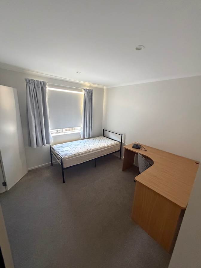 Paula's room