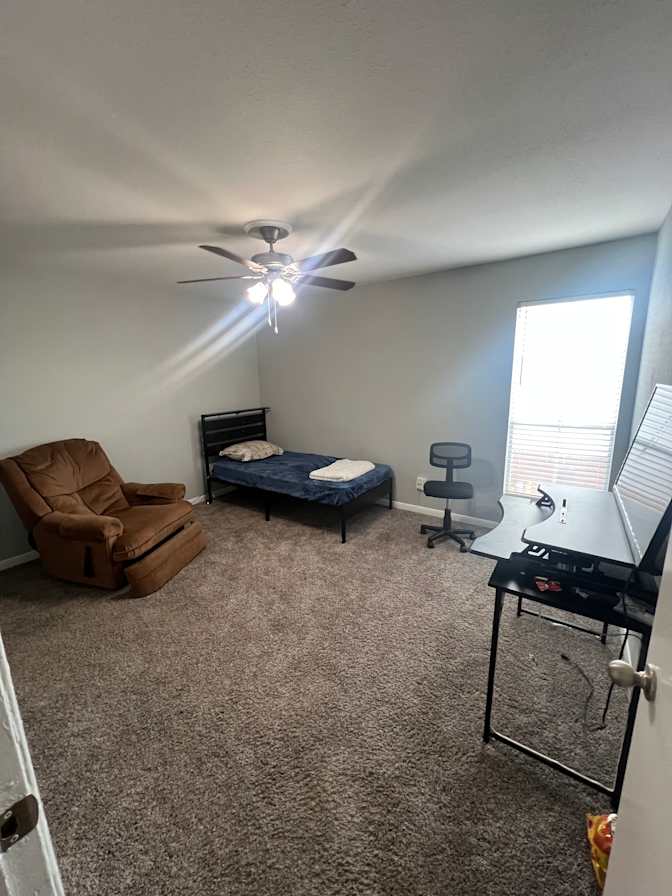 Mohammad's room