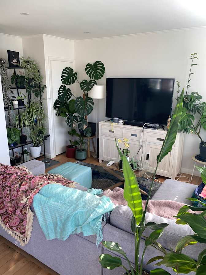 Jordan's room