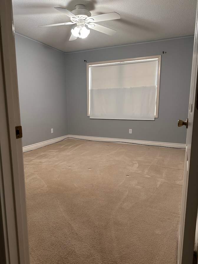 Jesse's room