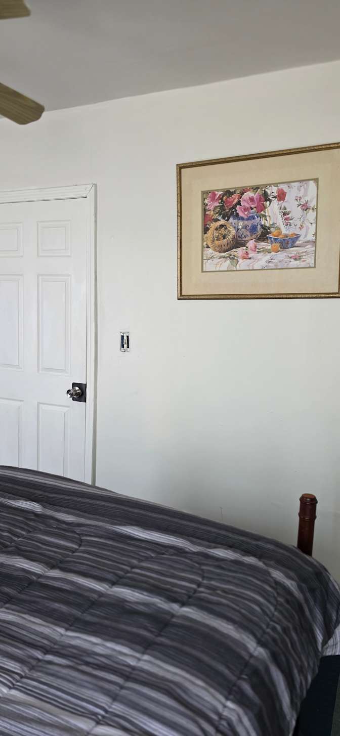 Mohammad's room