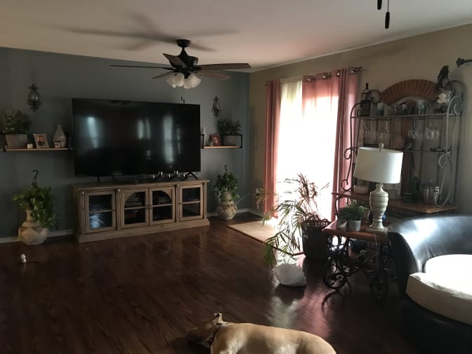 Regina's room