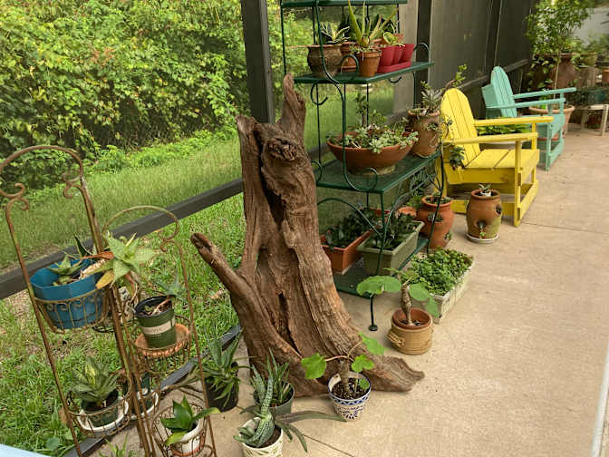 Wanda's room