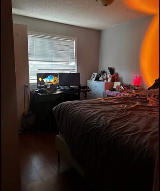 Amy's room