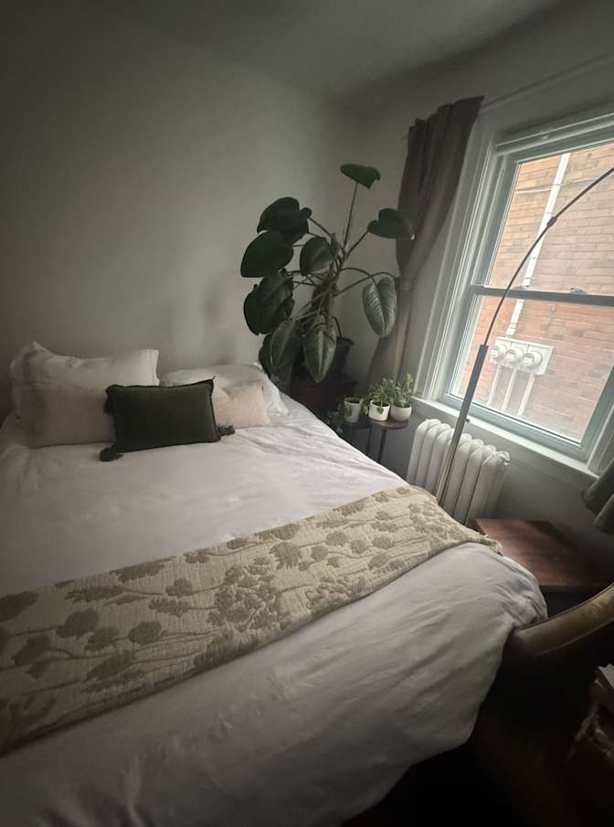 ashley's room