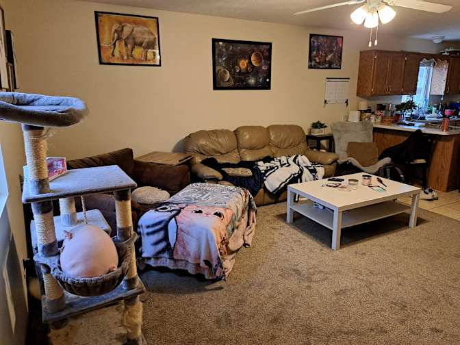 Sophia Sutton's room