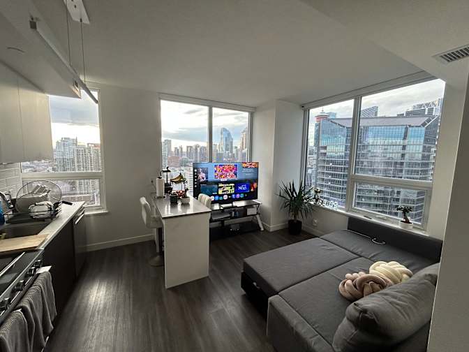 David Mcchesney's room