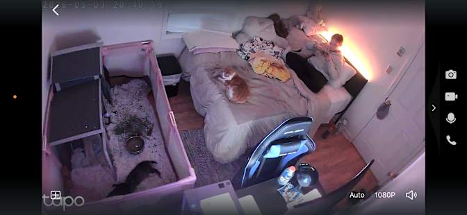 Lexi's room
