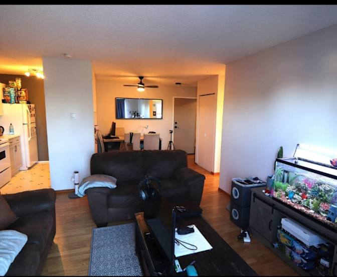 Beanca van Nieuwholtz's room