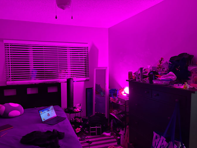 Paul's room