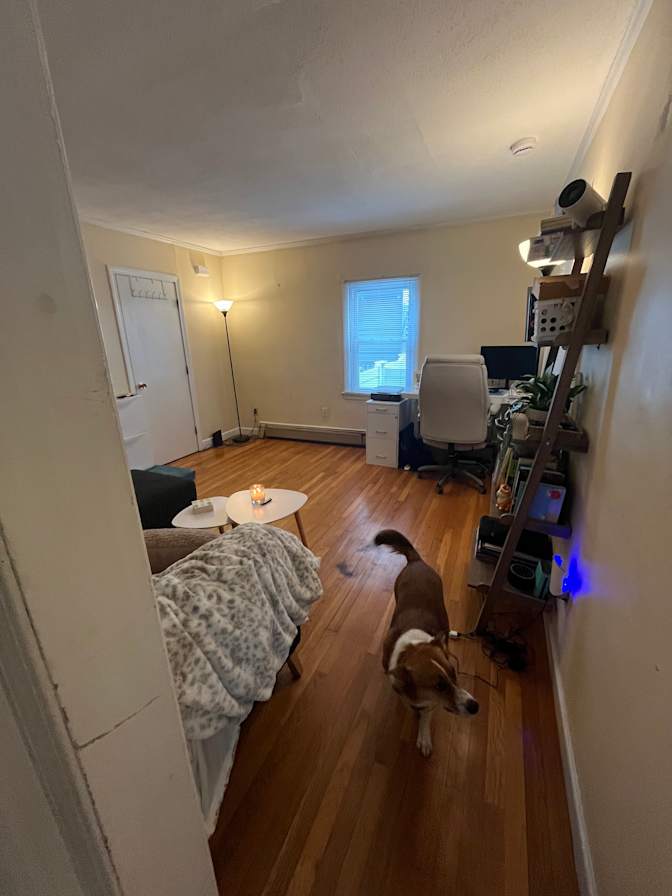 Caroline's room