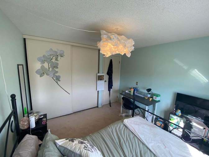 Andrew Finch's room