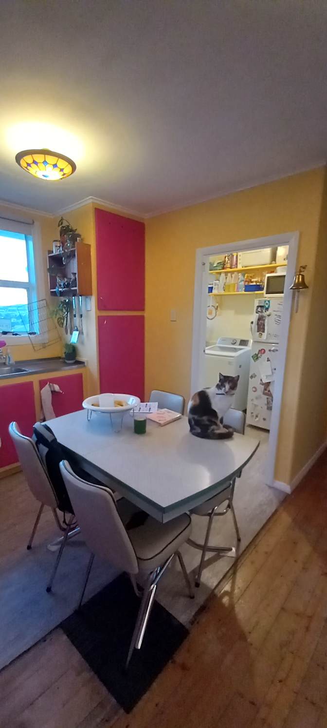 Sarcha's room